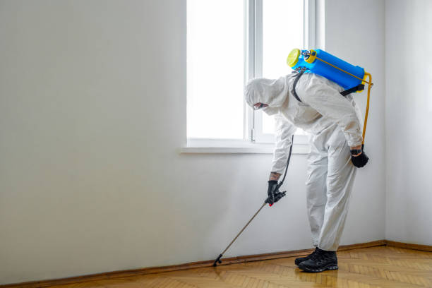 Best Mosquito Control Services  in Opa Locka, FL