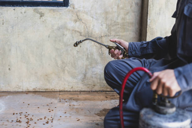 Best Affordable Pest Control Services  in Opa Locka, FL